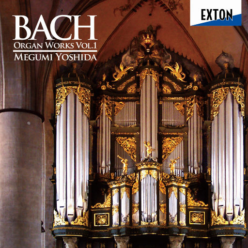 继夫啊灬啊别停灬啊灬
